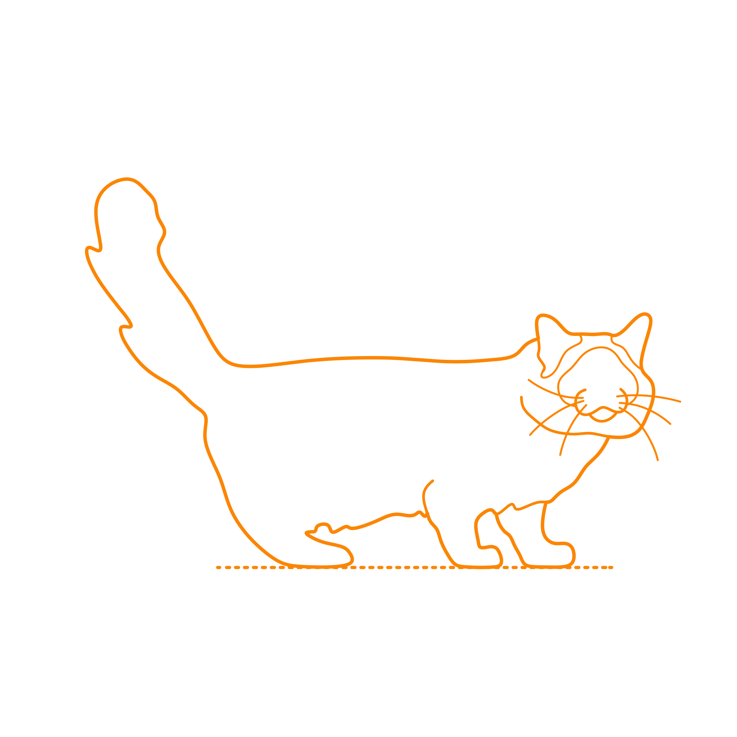 Animals Cats Birman Cat Simple Line Art Svg Free Vectors